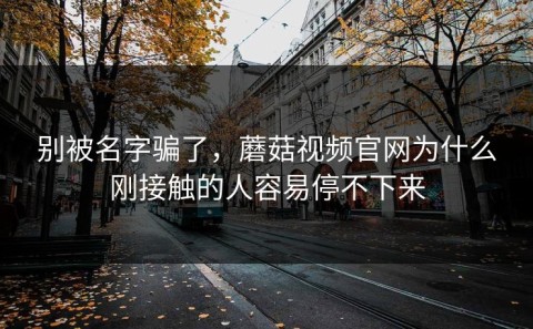 别被名字骗了，蘑菇视频官网为什么刚接触的人容易停不下来