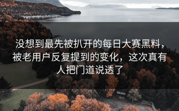 没想到最先被扒开的每日大赛黑料，被老用户反复提到的变化，这次真有人把门道说透了