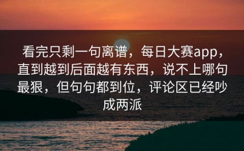 看完只剩一句离谱，每日大赛app，直到越到后面越有东西，说不上哪句最狠，但句句都到位，评论区已经吵成两派